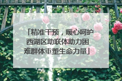 精准干预，暖心呵护 西湖区助联体助力困难群体重塑生命力量