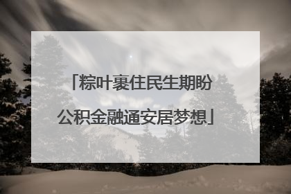 粽叶裹住民生期盼 公积金融通安居梦想
