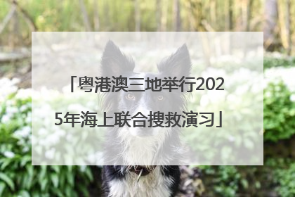 粤港澳三地举行2025年海上联合搜救演习