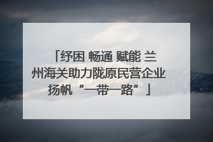 纾困 畅通 赋能 兰州海关助力陇原民营企业扬帆“一带一路”