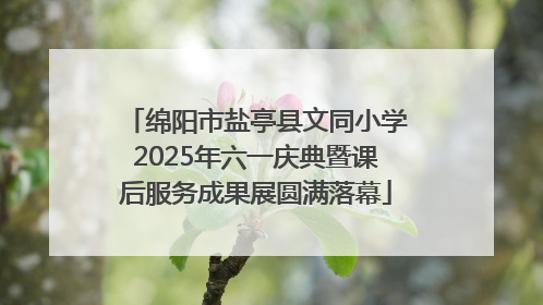 绵阳市盐亭县文同小学2025年六一庆典暨课后服务成果展圆满落幕