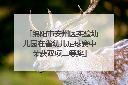 绵阳市安州区实验幼儿园在省幼儿足球赛中荣获双项二等奖