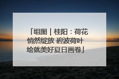 组图｜桂阳：荷花悄然绽放 碧波荷叶绘就美好夏日画卷