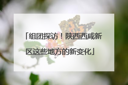 组团探访！陕西西咸新区这些地方的新变化