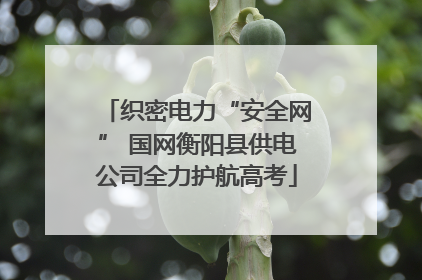 织密电力“安全网” 国网衡阳县供电公司全力护航高考