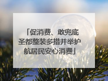 促消费、敢兜底 圣都整装多措并举护航居民安心消费