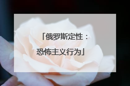 俄罗斯定性：恐怖主义行为