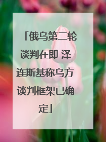 俄乌第二轮谈判在即 泽连斯基称乌方谈判框架已确定