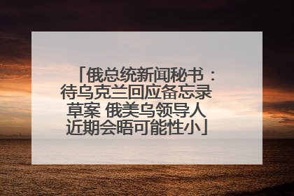 俄总统新闻秘书：待乌克兰回应备忘录草案 俄美乌领导人近期会晤可能性小