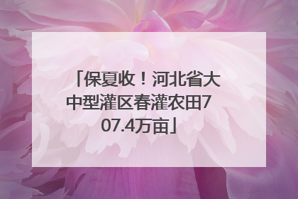 保夏收！河北省大中型灌区春灌农田707.4万亩