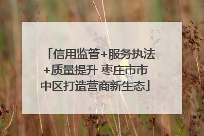 信用监管+服务执法+质量提升 枣庄市市中区打造营商新生态