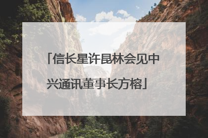 信长星许昆林会见中兴通讯董事长方榕