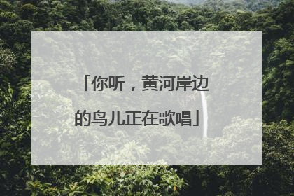 你听，黄河岸边的鸟儿正在歌唱