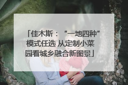 佳木斯：“一地四种” 模式任选 从定制小菜园看城乡融合新图景
