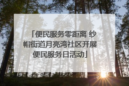 便民服务零距离 纱帽街道月亮湾社区开展便民服务日活动