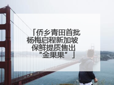 侨乡青田首批杨梅启程新加坡 保鲜提质售出“金果果”