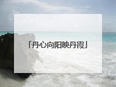 丹心向阳映丹霞