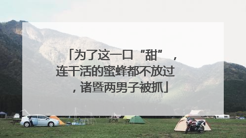 为了这一口“甜”，连干活的蜜蜂都不放过，诸暨两男子被抓