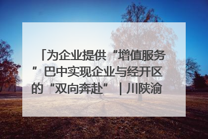 为企业提供“增值服务”巴中实现企业与经开区的“双向奔赴”｜川陕渝网络名人巴中行