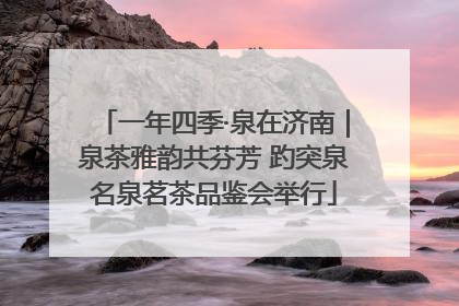 一年四季·泉在济南｜泉茶雅韵共芬芳 趵突泉名泉茗茶品鉴会举行