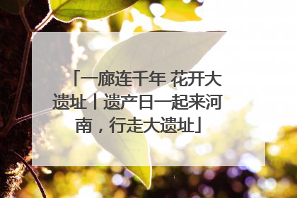 一廊连千年 花开大遗址丨遗产日一起来河南，行走大遗址