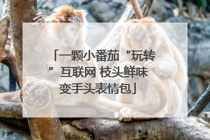 一颗小番茄“玩转”互联网 枝头鲜味变手头表情包