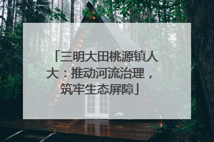 三明大田桃源镇人大：推动河流治理，筑牢生态屏障