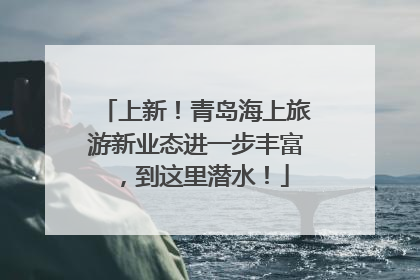 上新！青岛海上旅游新业态进一步丰富，到这里潜水！