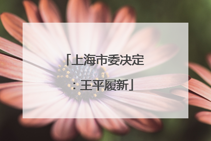 上海市委决定：王平履新