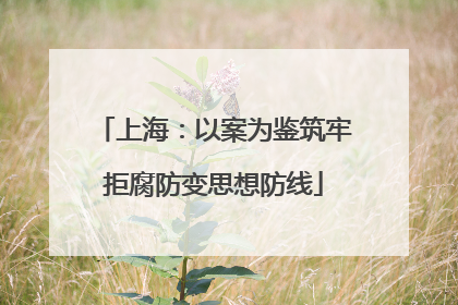 上海：以案为鉴筑牢拒腐防变思想防线