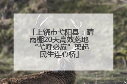 上饶市弋阳县：晴雨棚20天高效落地 “弋呼必应”架起民生连心桥