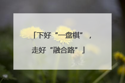 下好“一盘棋”，走好“融合路”