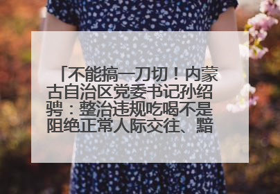 不能搞一刀切！内蒙古自治区党委书记孙绍骋：整治违规吃喝不是阻绝正常人际交往、黯淡人间烟火