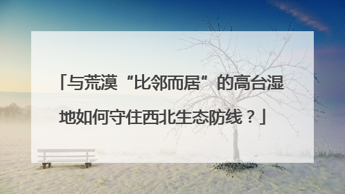 与荒漠“比邻而居”的高台湿地如何守住西北生态防线？