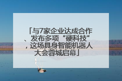 与7家企业达成合作、发布多项“硬科技”，这场具身智能机器人大会蓉城启幕