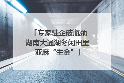 专家驻企破瓶颈 湖南大通湖冬闲田里亚麻“生金”
