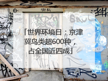 世界环境日：京津冀鸟类超600种，占全国近四成