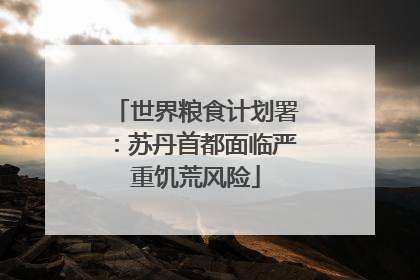 世界粮食计划署：苏丹首都面临严重饥荒风险