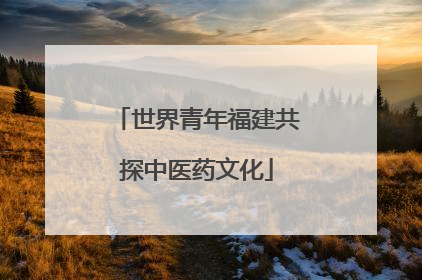 世界青年福建共探中医药文化