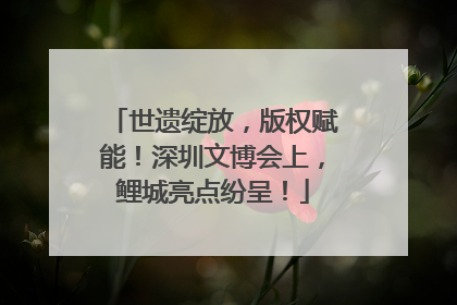 世遗绽放，版权赋能！深圳文博会上，鲤城亮点纷呈！
