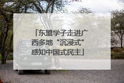 东盟学子走进广西多地“沉浸式”感知中国式民主