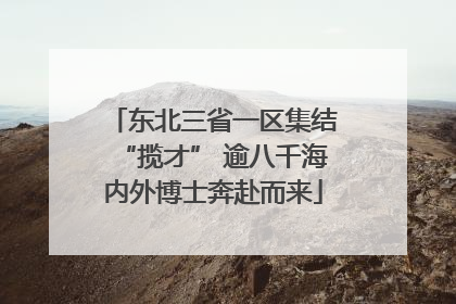 东北三省一区集结“揽才” 逾八千海内外博士奔赴而来