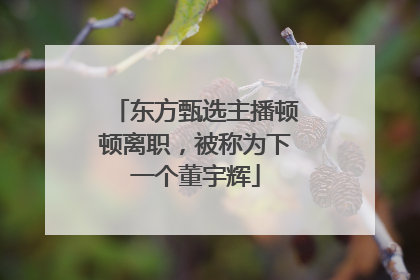 东方甄选主播顿顿离职，被称为下一个董宇辉