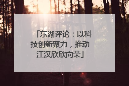 东湖评论：以科技创新聚力，推动江汉欣欣向荣
