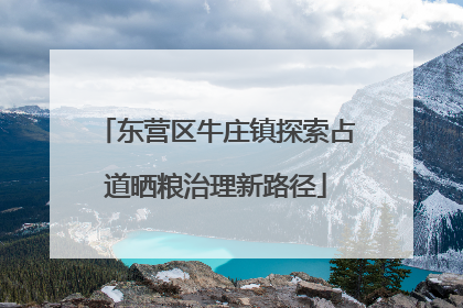东营区牛庄镇探索占道晒粮治理新路径