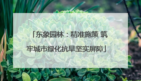 东象园林：精准施策 筑牢城市绿化抗旱坚实屏障