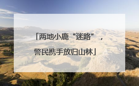 两地小鹿“迷路”，警民携手放归山林