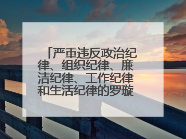 严重违反政治纪律、组织纪律、廉洁纪律、工作纪律和生活纪律的罗璇，非法收受他人巨额财物