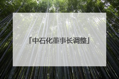 中石化董事长调整