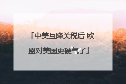 中美互降关税后 欧盟对美国更硬气了